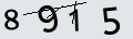 verifycode